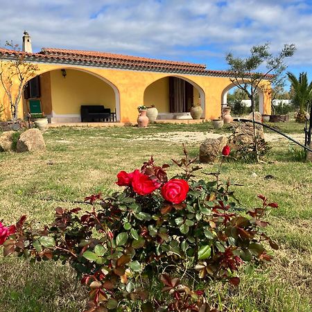 Villa Grecale Cala Liberotto Dış mekan fotoğraf