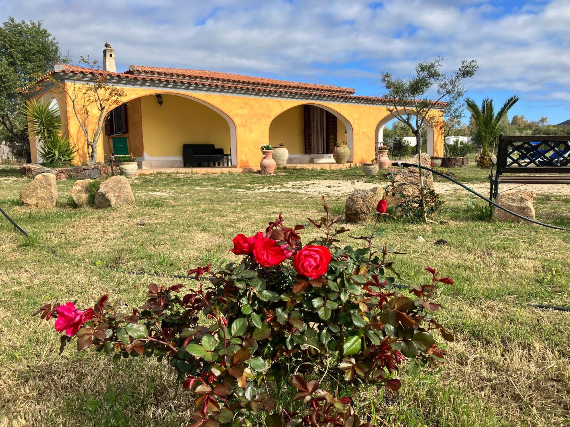 Villa Grecale Cala Liberotto Dış mekan fotoğraf